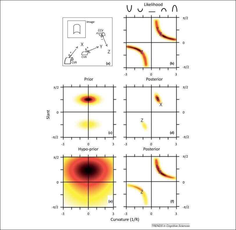 ニューロダイバーシティと神経科学の新たな接点 — 計算論的精神
