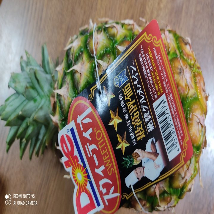 パイナップルの再生栽培やってみよう 諸行 Note