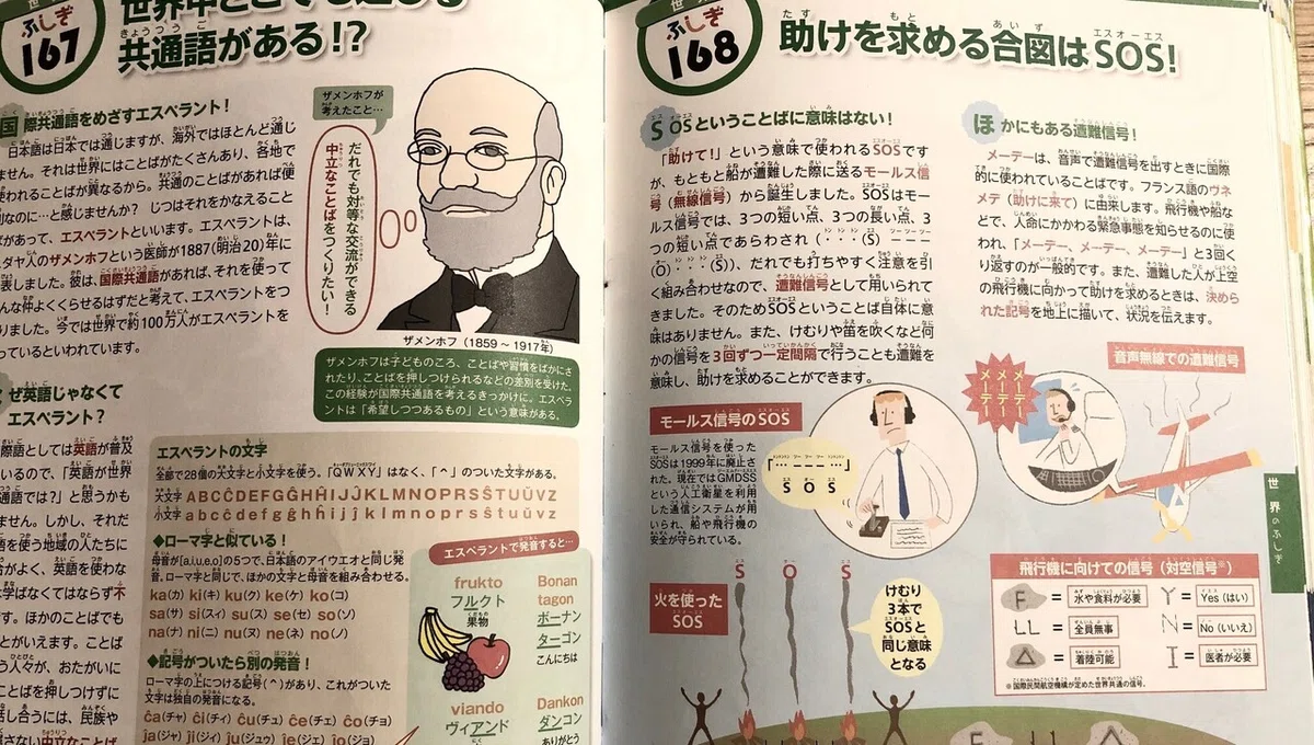 画像2