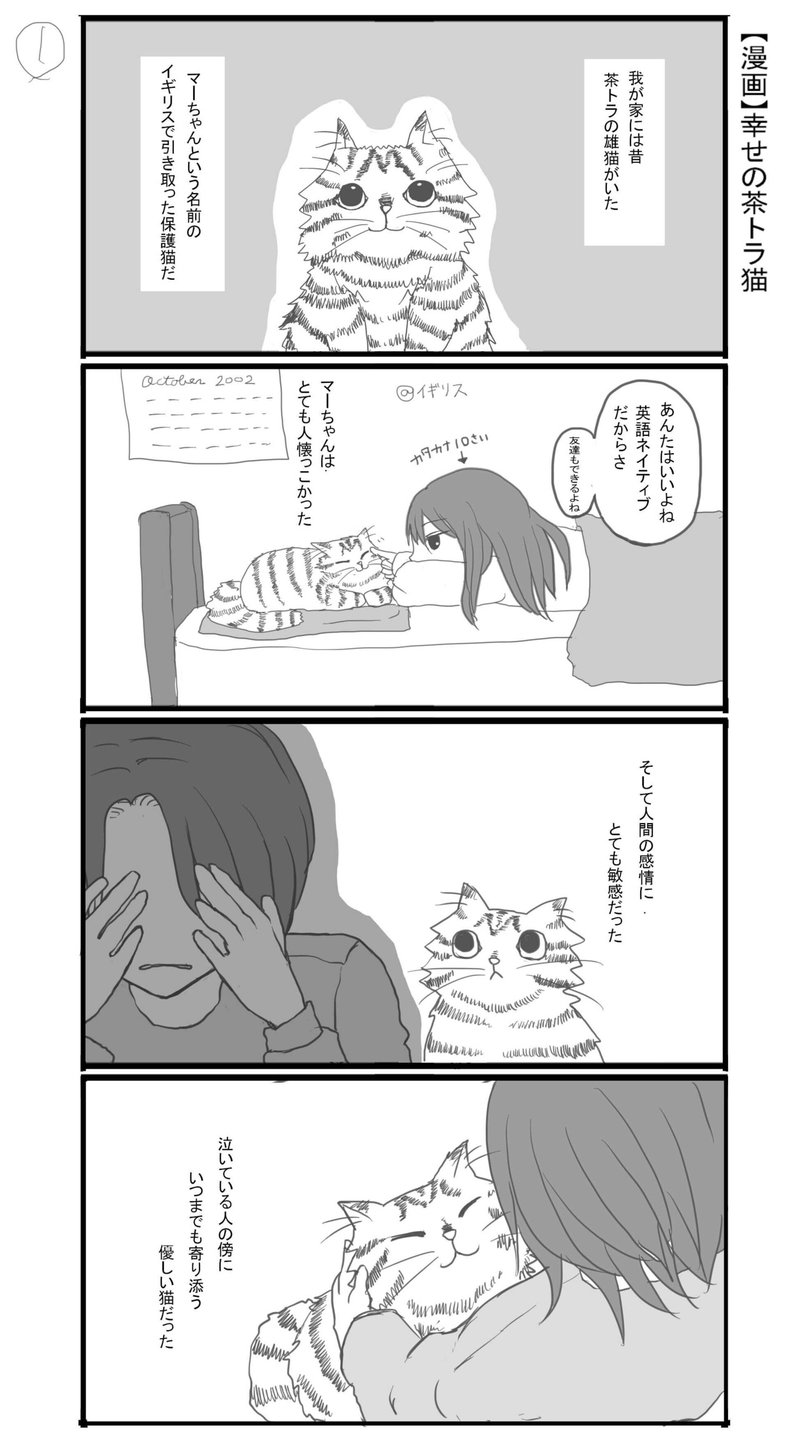 漫画 茶トラの猫は 幸せを運んでくれるんだよ カタカナ 企画 編集 執筆 Prのお仕事 Note 漫画 茶トラの猫は 幸せを運んでくれるんだよ カタカナ 企画 編集 執筆 Prのお仕事 Note