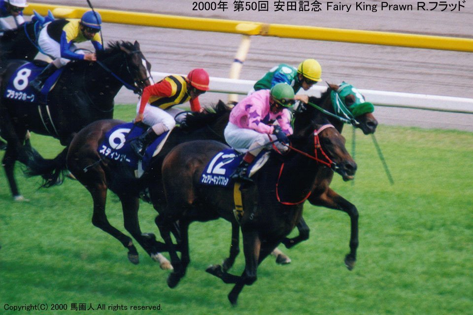 安田記念：蔵出し写真3 2000年 Fairy King Prawn｜馬画人 (まが