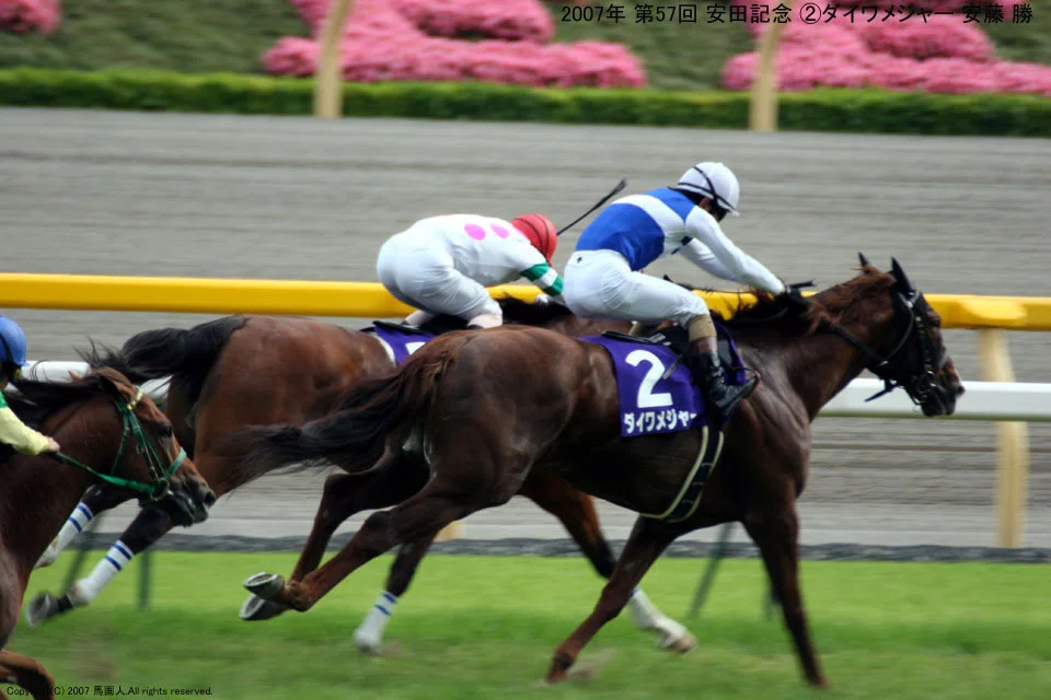安田記念：蔵出し写真6 2007年 ダイワメジャー｜馬画人 (まがじん)