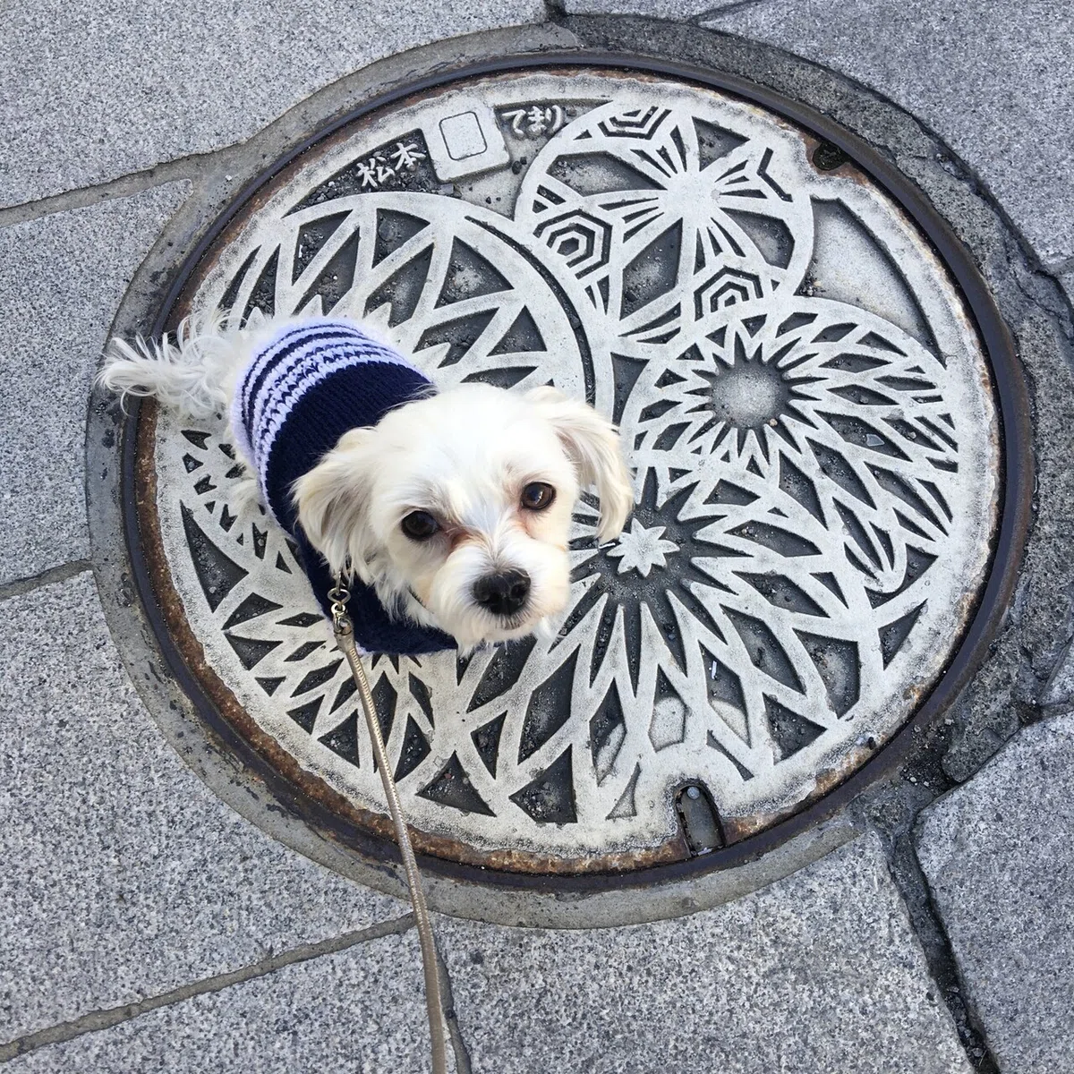 画像4