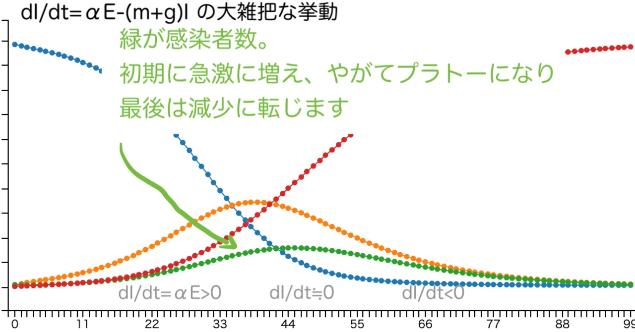 感染症数理モデルの基本 SEIR をなるべく数式に頼らずに直感的に理解