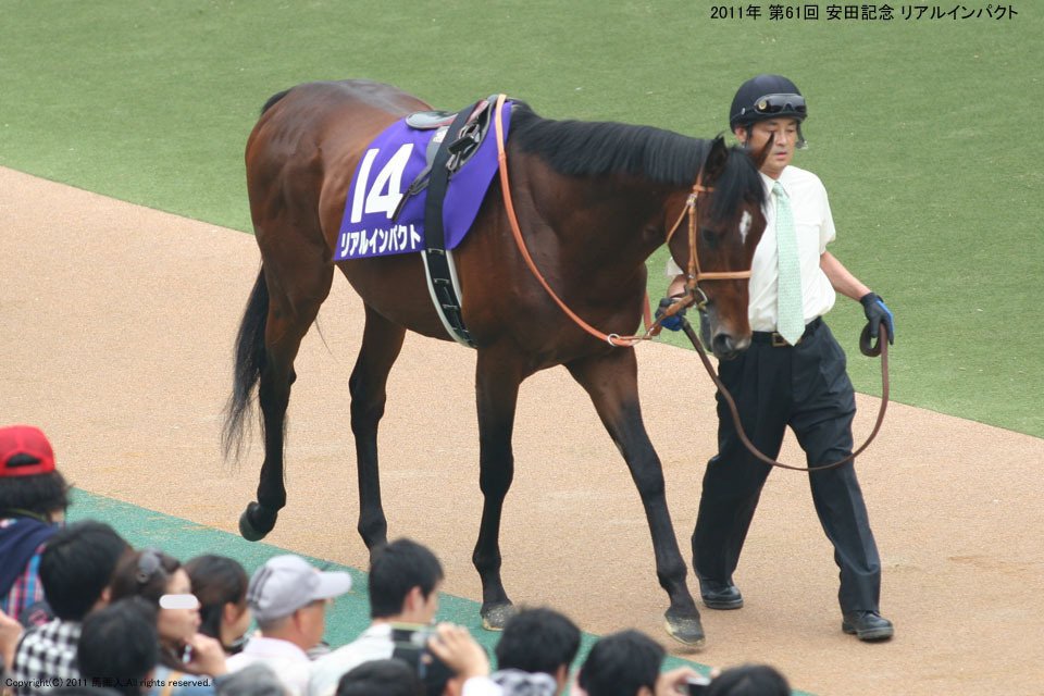 【期限切れ単勝馬券】 安田記念 2011 リアルインパクト 安田記念：蔵出し写真8 2011年 リアルインパクト｜馬画人 (まがじん)