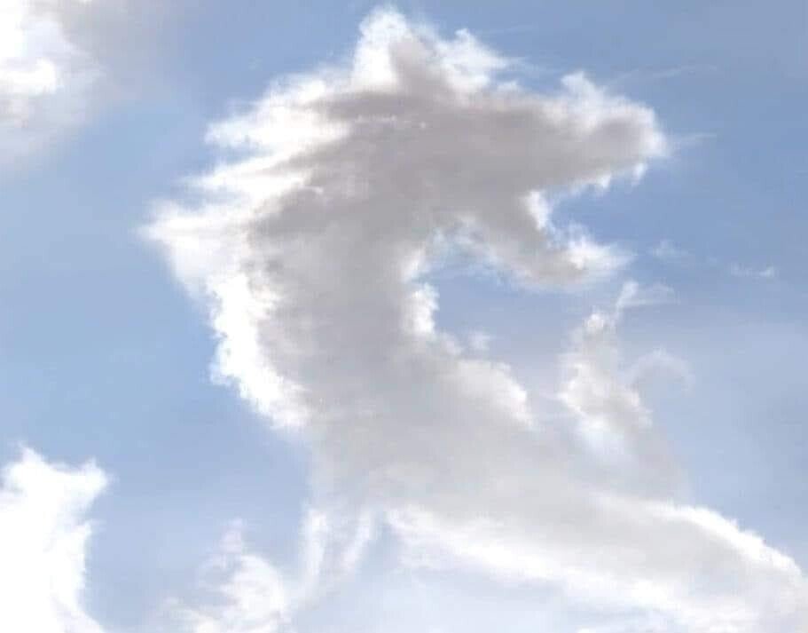 蒼天の冬空に龍神雲 減税日本 悪徳商法バスターズ Note