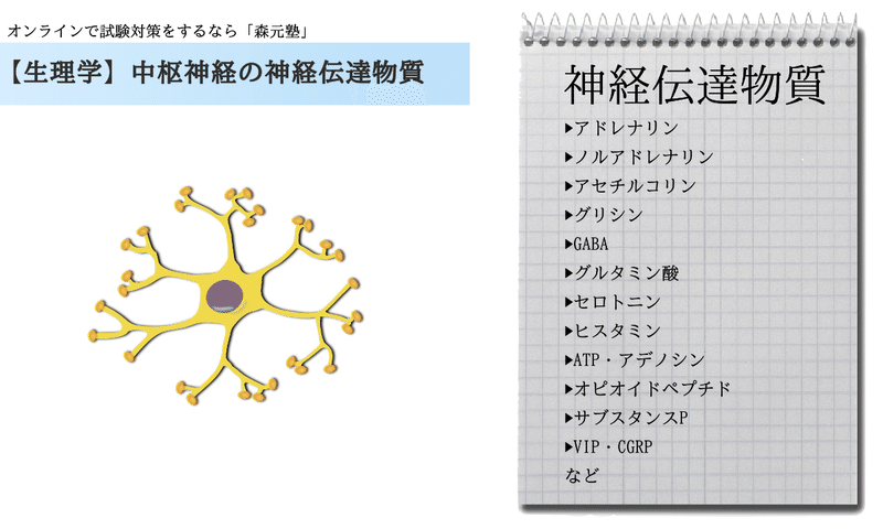 生理学 図解 イラスト とゴロで簡単 中枢神経の伝達物質 の覚え方 森元塾 国家試験対策 Note 生理学 図解 イラスト とゴロで簡単 中枢神経の伝達物質 の覚え方 森元塾 国家試験対策 Note