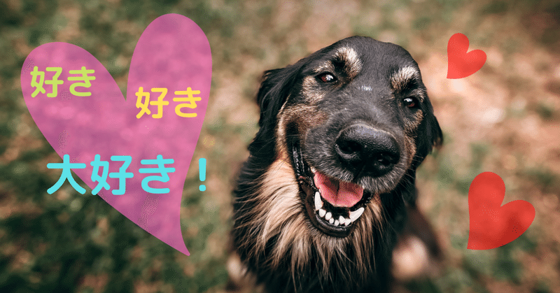 こんなにあった 犬の愛情表現 Crazyhage とんすけ Note こんなにあった 犬の愛情表現 Crazyhage とんすけ Note