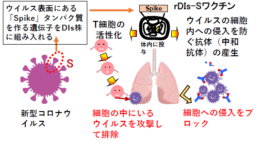 写真③