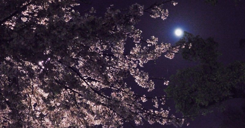 セルフライナーノーツ No 13 桜月夜 季節外れの祭り囃子 No 8750 和風味の琴がメロディを奏でるロック Bgm Gucchie Note セルフライナーノーツ No 13 桜月夜 季節外れの祭り囃子 No 8750 和風味の琴がメロディを奏でるロック Bgm Gucchie Note