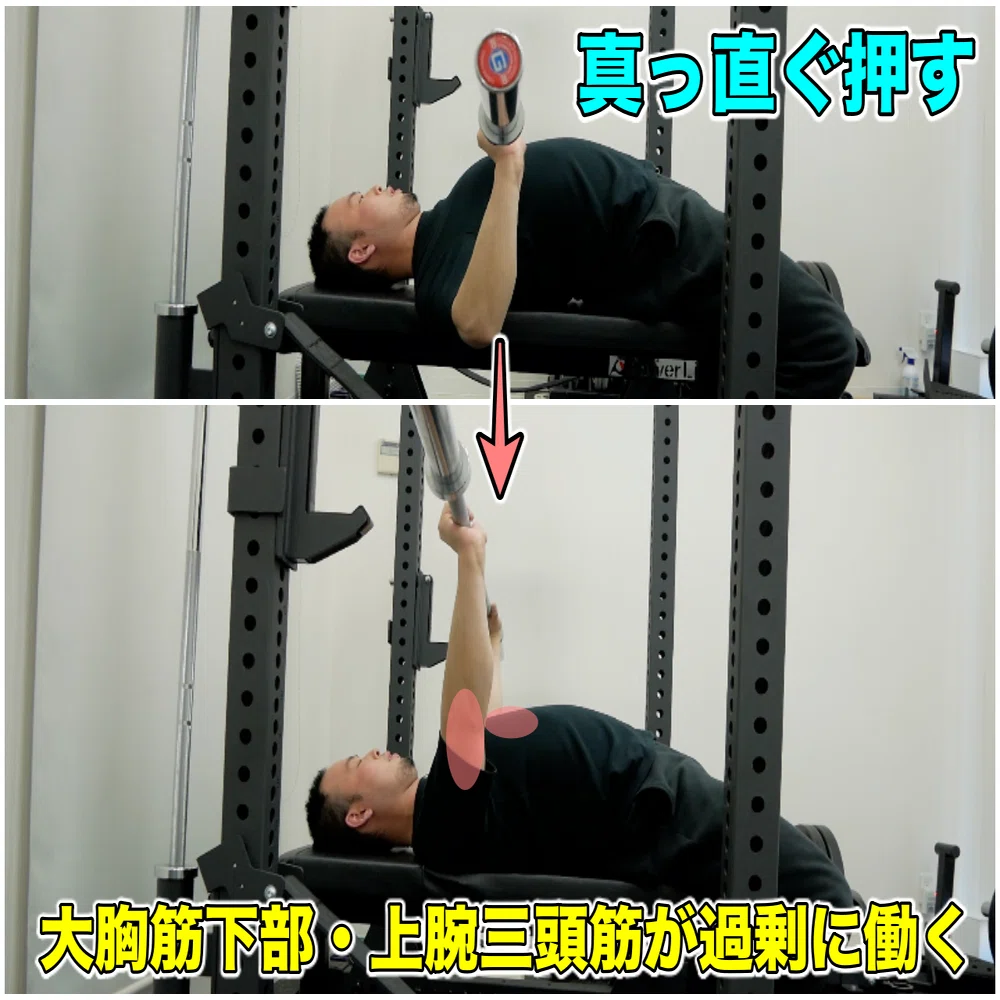 解剖学的解説】ベンチプレスで『大胸筋下部しか効かない問題』を覆す 