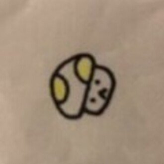 はじめまして きのこです きのこ Note