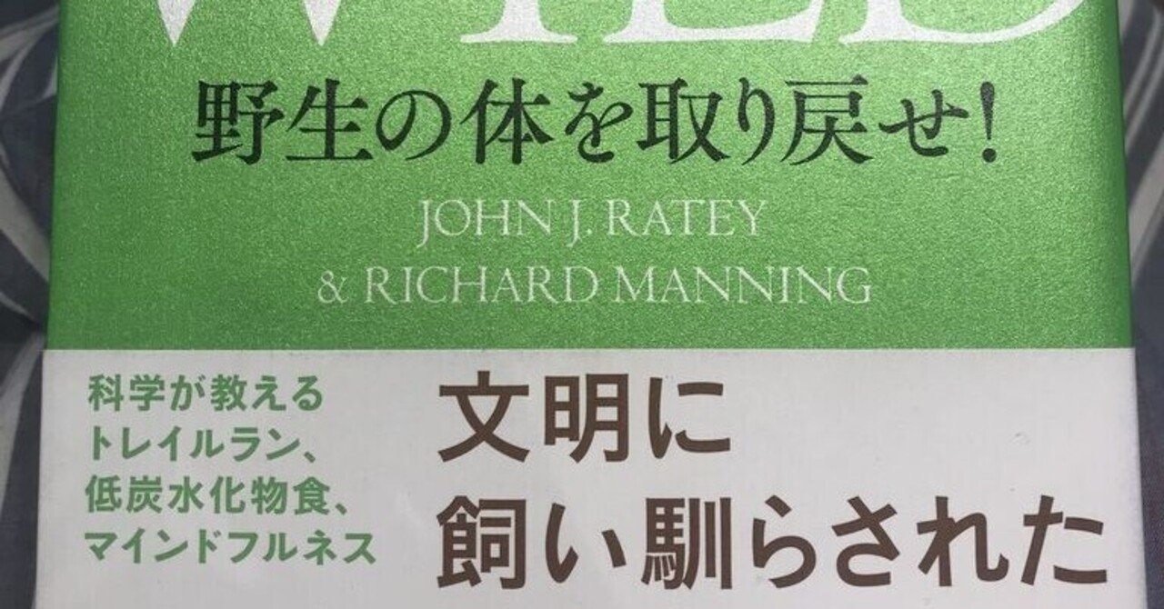 原始思考法 齋藤令介著 絶版】 原始思考法 斉藤令介著 - メルカリ