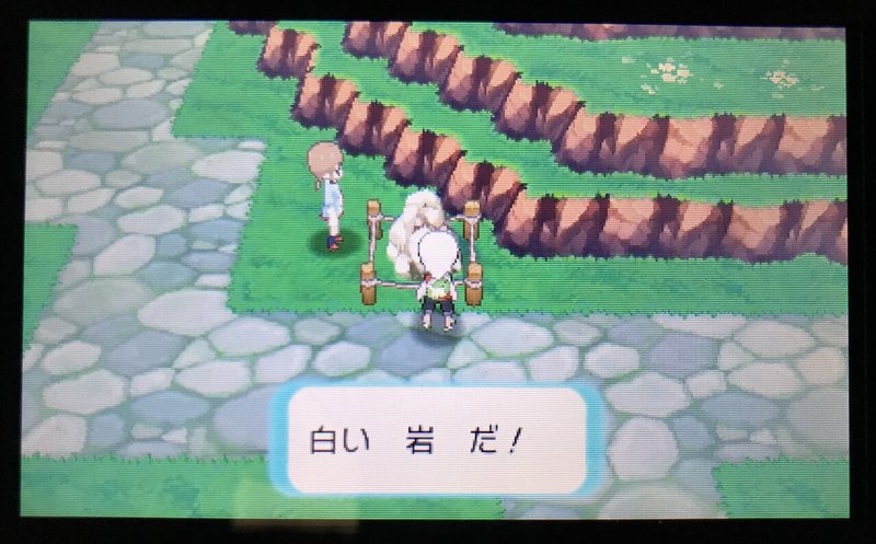 トクサネシティの 白い岩 を3か月探し続けた ゆのめともふみ Note トクサネシティの 白い岩 を3か月探し続けた ゆのめともふみ Note