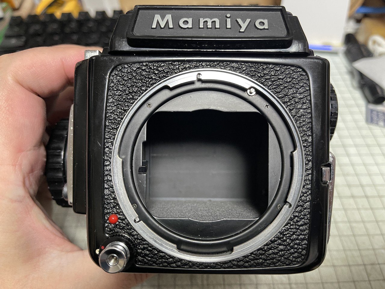 Mamiya M645 Impression|怪力熊男 Mamiya M645 Impression|怪力熊男