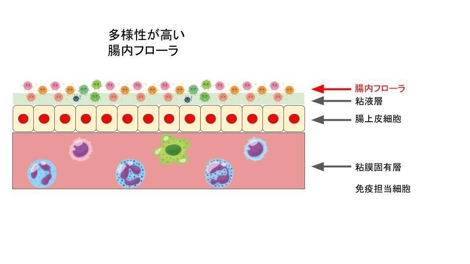 無題のプレゼンテーション (4)