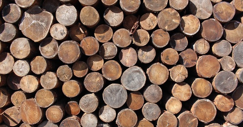【木の国際化】Trend of forest industry in Japan and Proposal for urban mass timber buildings