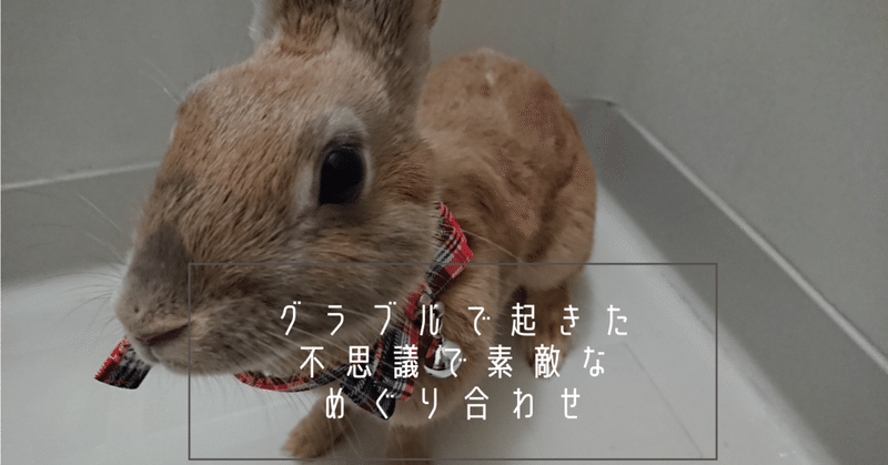 背文字で スキ と伝えたいウサギのポリアンナ 心に響いた言葉だけ贈りたい 音卯風矢 Note