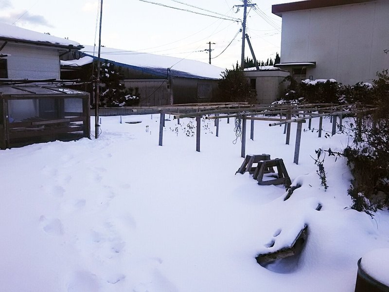 姫島の雪04