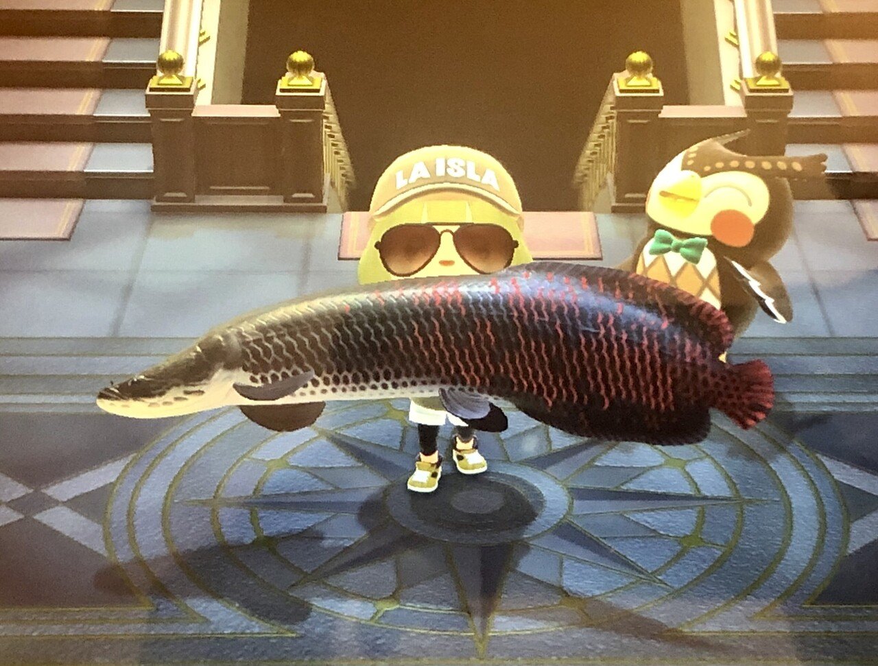 アマゾン伝説の巨大魚 の新着タグ記事一覧 Note つくる つながる とどける