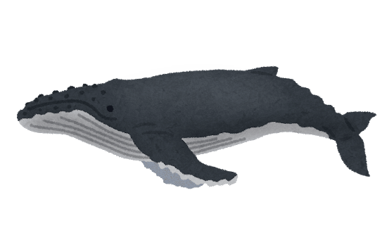 100以上 クジラ イラスト 簡単 くじら イラスト 簡単 Muryosun 100以上 クジラ イラスト 簡単 くじら イラスト 簡単 Muryosun