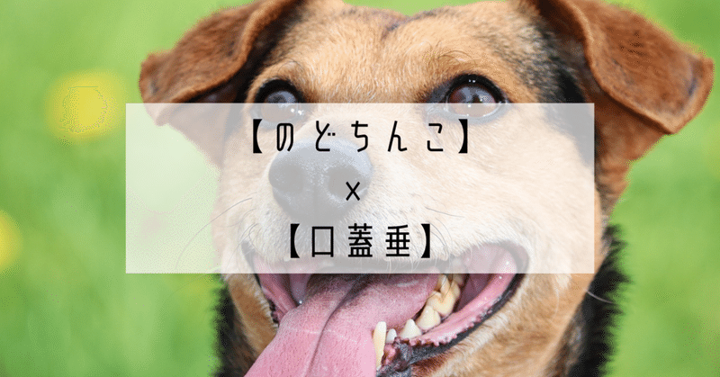 のどちんこ の新着タグ記事一覧 Note つくる つながる とどける