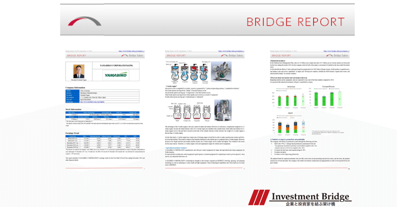 2021-Bridge Report (English IR Reports)