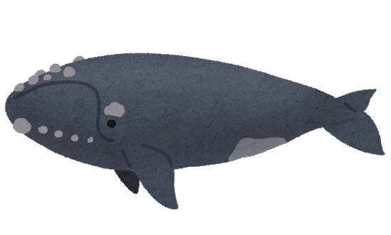 最新 クジラ イラスト イラスト素材画像無料 最新 クジラ イラスト イラスト素材画像無料