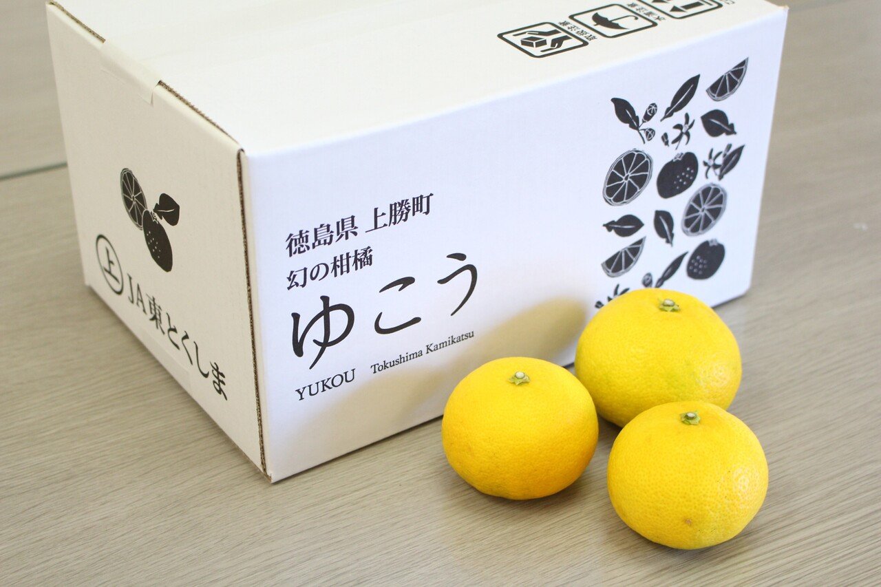 幻の柑橘『ゆこう』｜いろどり 上勝