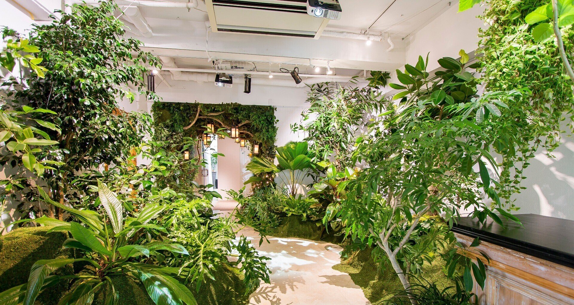 Green Display｜note