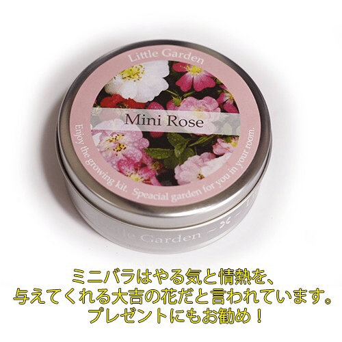 リトルガーデン ミニバラの栽培セット サイズ 容量 商品サイズ 直径８ ３ 高さ３ ３ｃｍ 規格 原産国日本 種のみオランダ セット内容 種子 土 説明書 栽培適温 ２０ ２５ 発芽 Handmadehouseハーツ Note