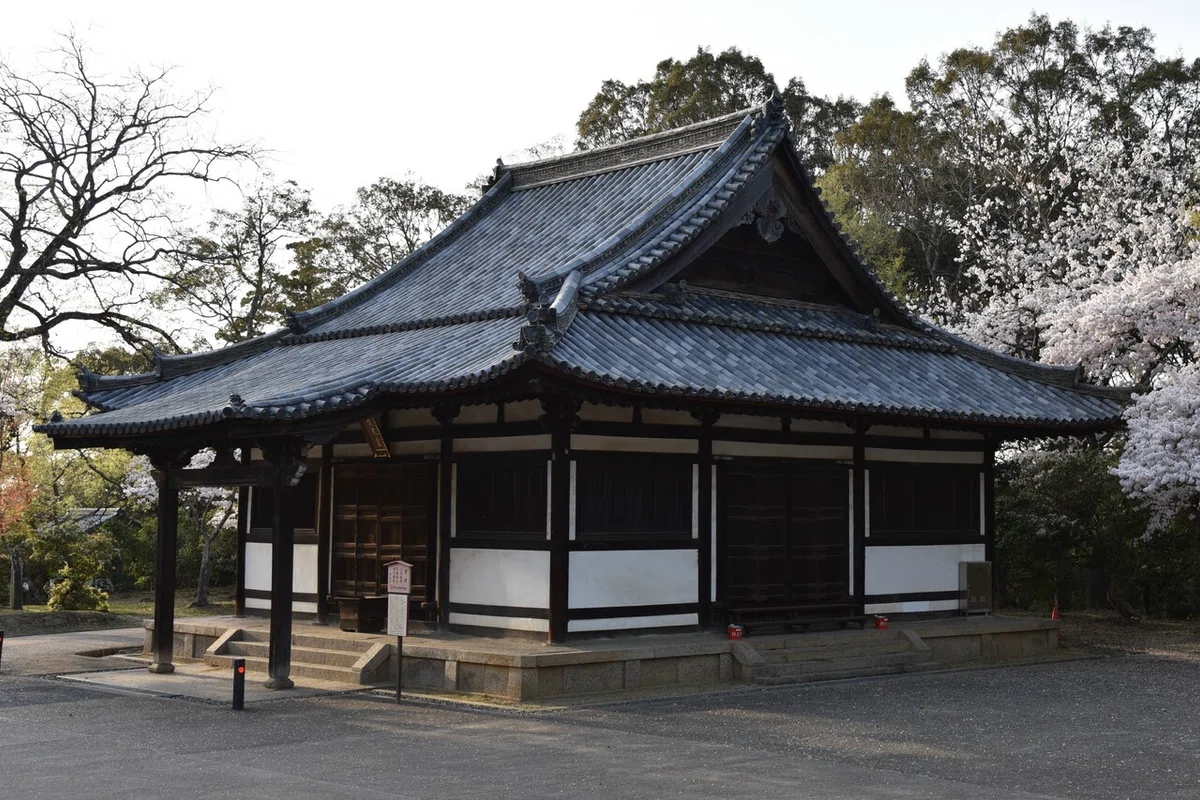 画像13