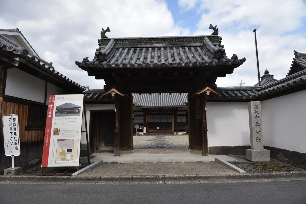 画像14