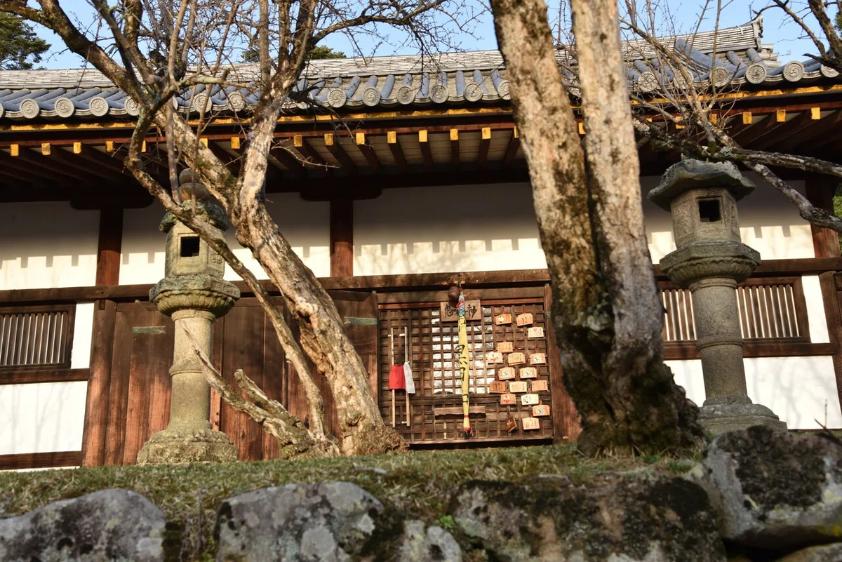 画像6