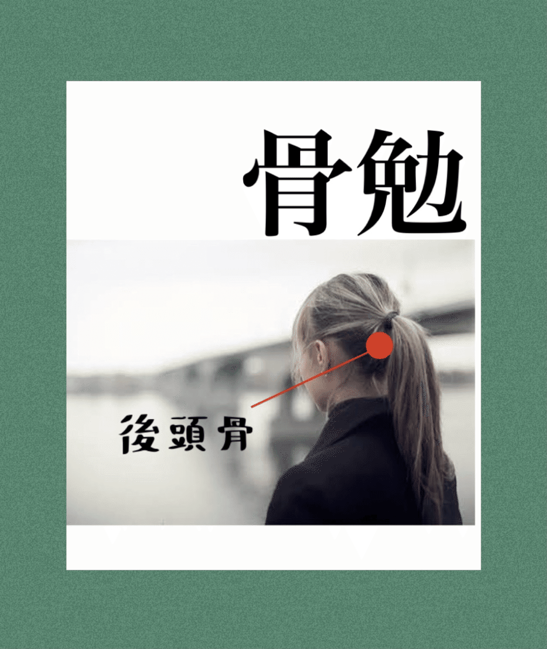 骨勉】後頭骨|伊藤陵亮【整体×ヨガ×読書】 骨勉】後頭骨|伊藤陵亮【整体×ヨガ×読書】