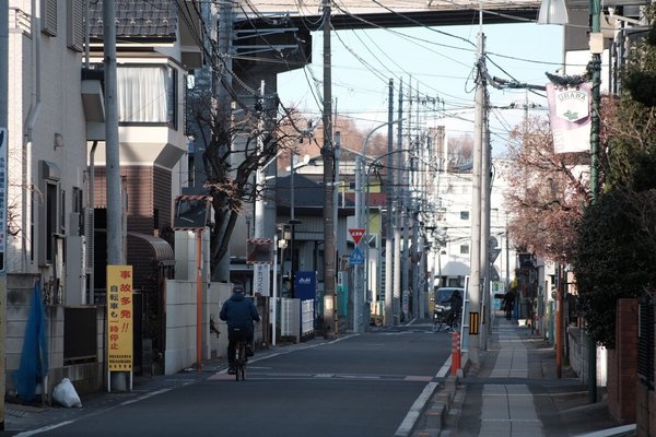 画像8