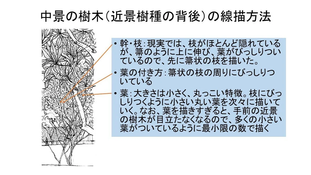 スライド3