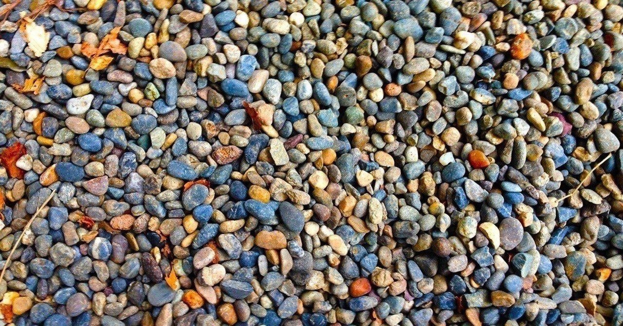 大人が痛くて泣いた話 魚も鶏も許さない アジト Note版マンガ雑誌 Note