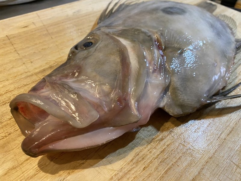 タイムラプスで作業工程を振り返る 魚さばきトレーニング Noriaki Kawanishi 黒崎base半農style Note