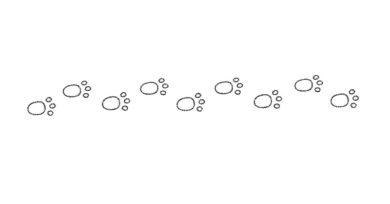 すべてのチャンスを掴み損ね 司法試験にも落ち 人生に詰んだわたしの話 ちさと Note すべてのチャンスを掴み損ね 司法試験にも落ち 人生に詰んだわたしの話 ちさと Note