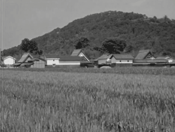 1951年の映画劇『麥秋』の海と山、『天衣紛上野初花』｜俗語半解