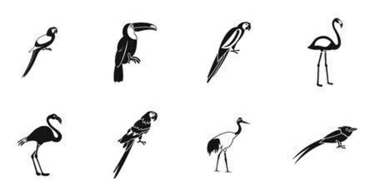 Gama氏作  鳥の絵  その2 第2443回 性的二型の鳥｜翆野 大地