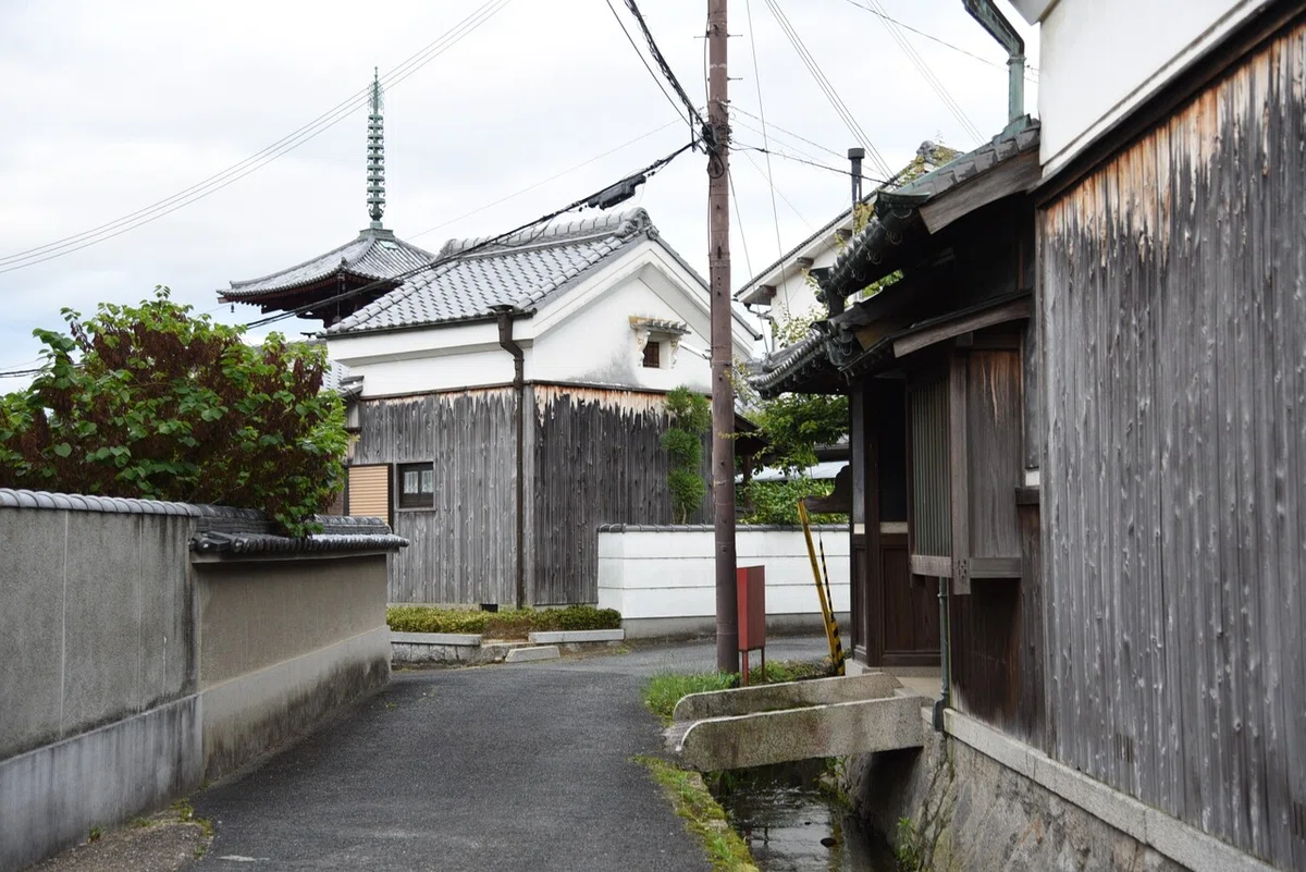 画像7