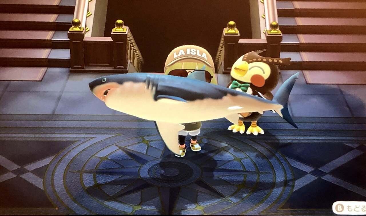 てんちょうの あらぶりすぎて1月も もう真ん中などうぶつの森日和 きゃっ サメを一本釣りしちゃった きょうのごはんは タルタルソースで フライにきまりなの サメはパサパサするから マヨネ てんちょう Note