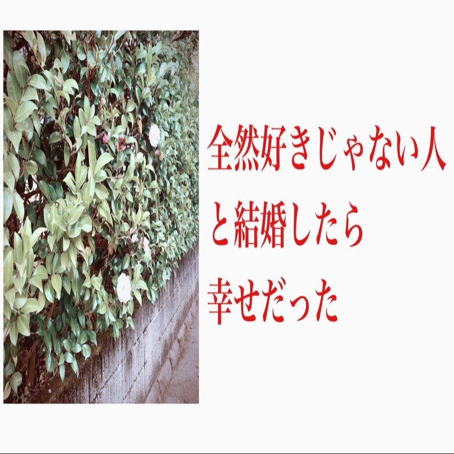 3 全然好きじゃない人と結婚したら幸せだった おりぞめの さち Note