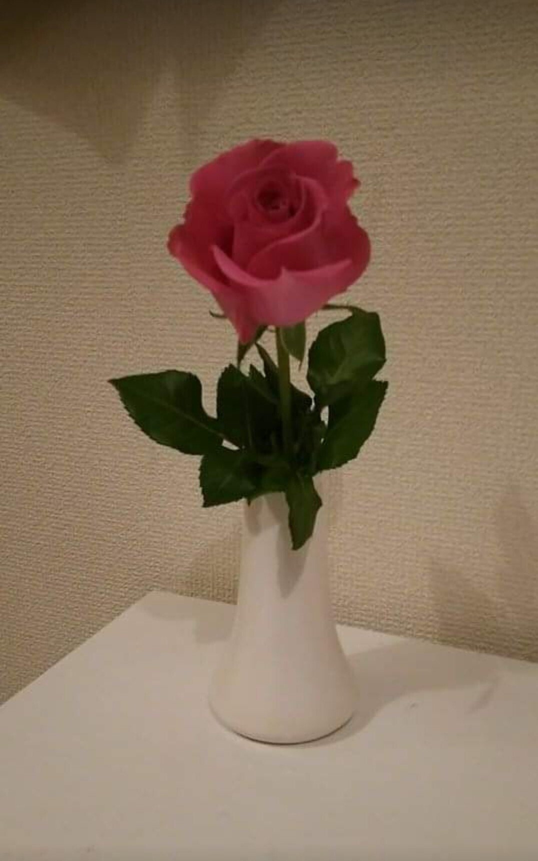 花言葉 ちと Note
