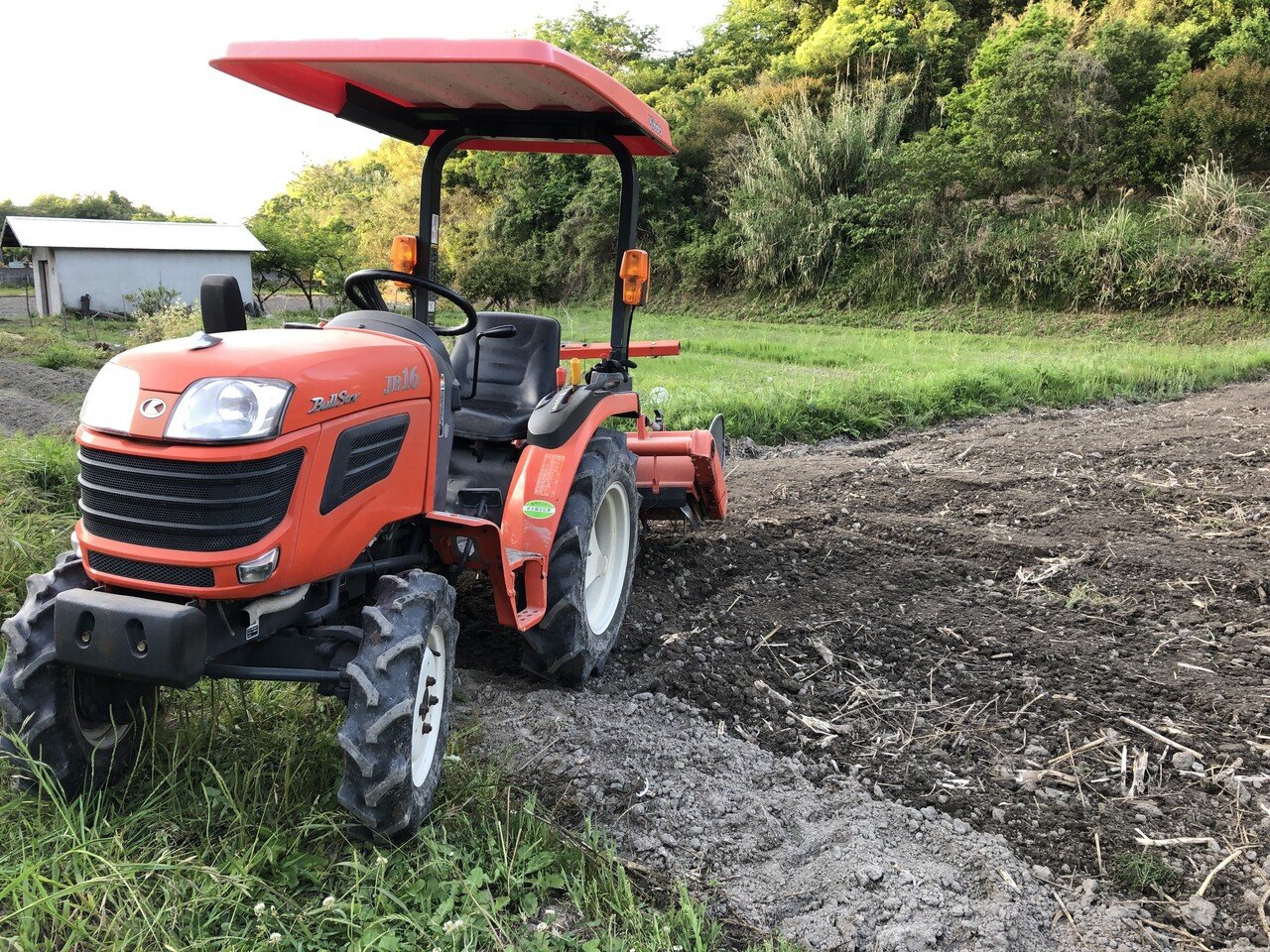 耕作放棄地】開拓で行ったこと｜とまたろう