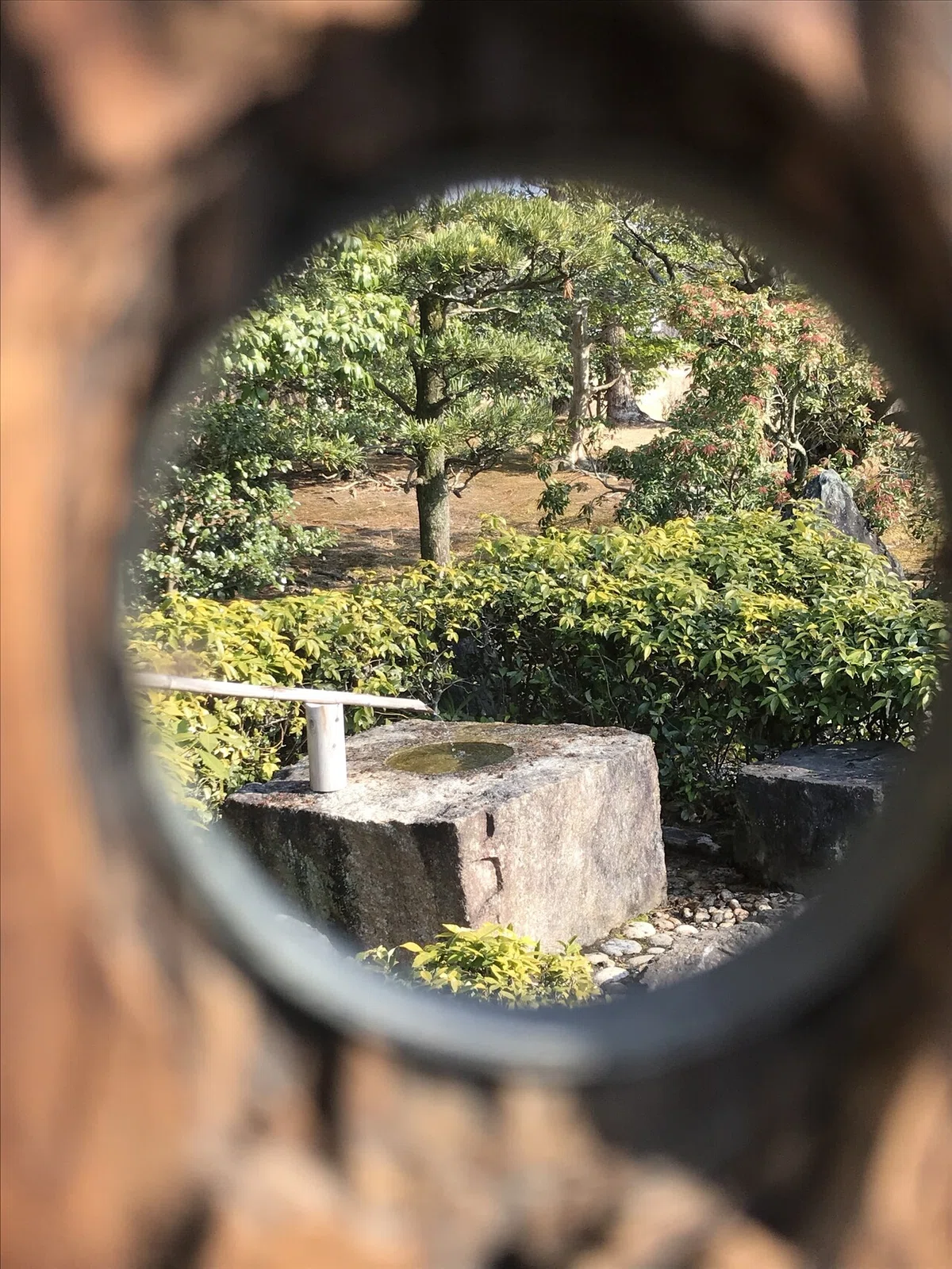 画像11