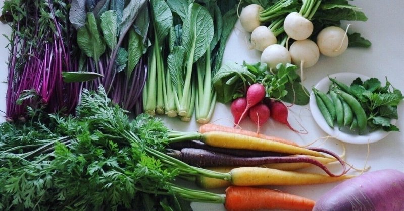 理科の雑学 なぜ青い野菜がないのか Yuu Note