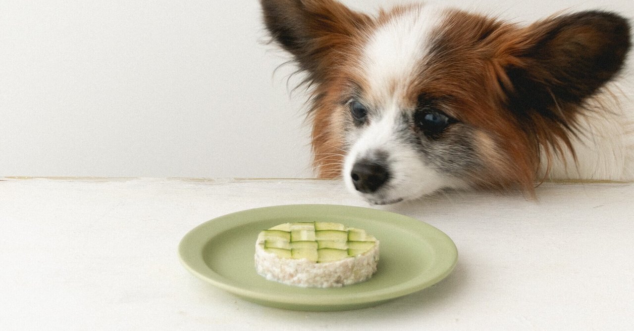40kcal レンジで簡単 ツナ豆腐サラダケーキ 手作り犬おやつ 犬ごはん先生いちかわあやこ Official Web Site 40kcal レンジで簡単 ツナ豆腐サラダケーキ 手作り犬おやつ 犬ごはん先生いちかわあやこ Official Web Site